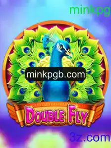 DoubleFly: Um Mergulho no Mundo do Jogo Inovador